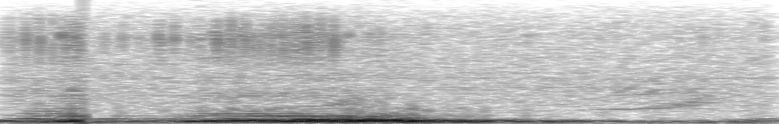 [Loading Spectrogram]