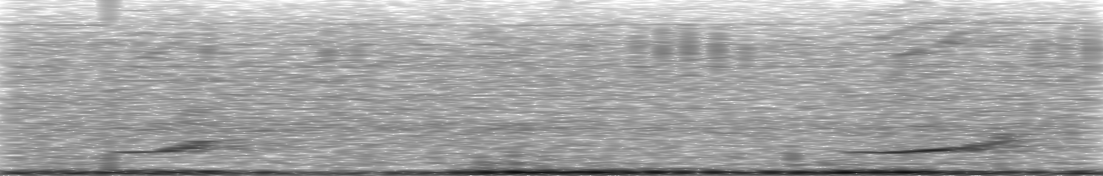 [Loading Spectrogram]