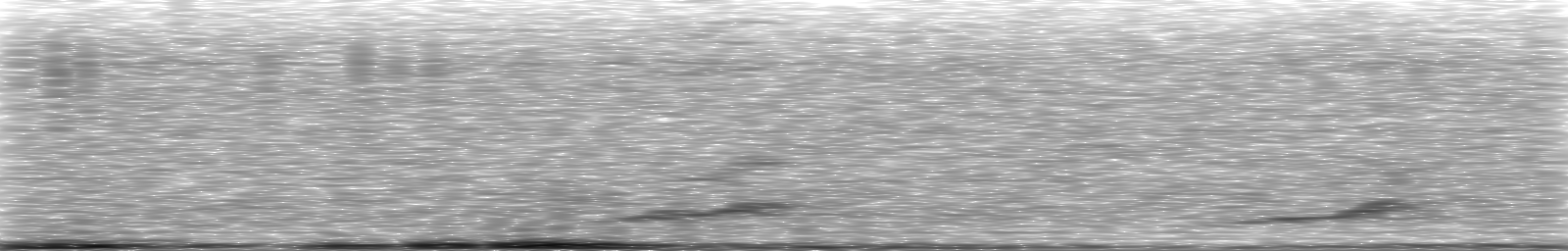 [Loading Spectrogram]