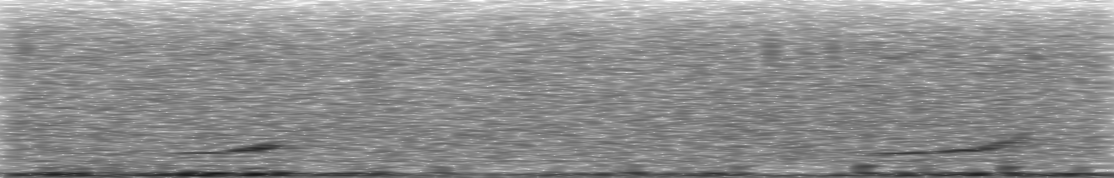 [Loading Spectrogram]