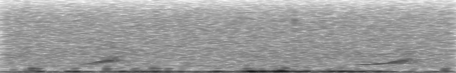 [Loading Spectrogram]