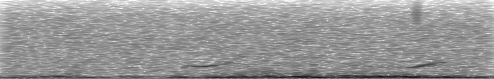 [Loading Spectrogram]