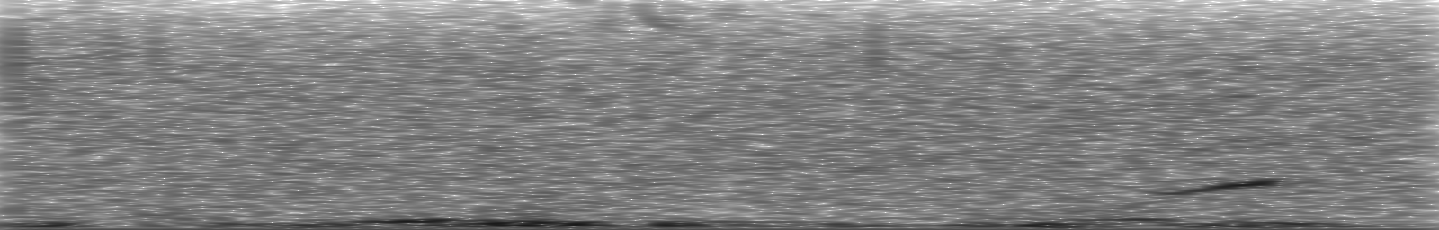 [Loading Spectrogram]