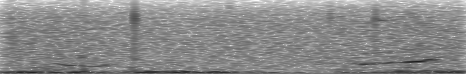 [Loading Spectrogram]