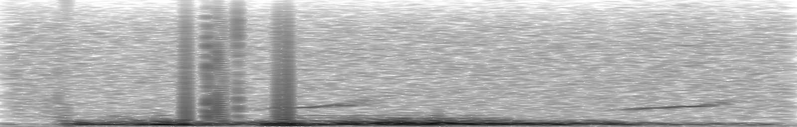 [Loading Spectrogram]