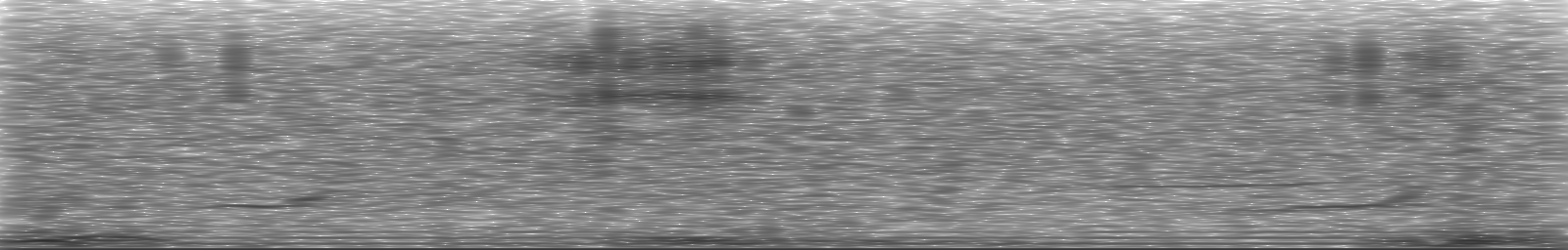 [Loading Spectrogram]