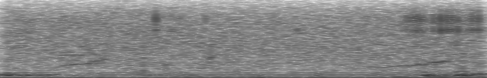 [Loading Spectrogram]