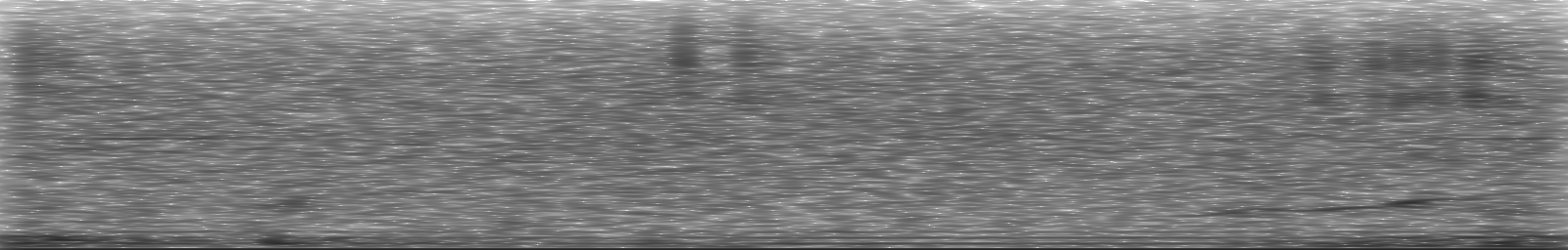 [Loading Spectrogram]