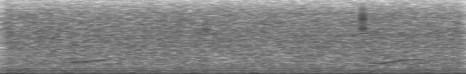 [Loading Spectrogram]