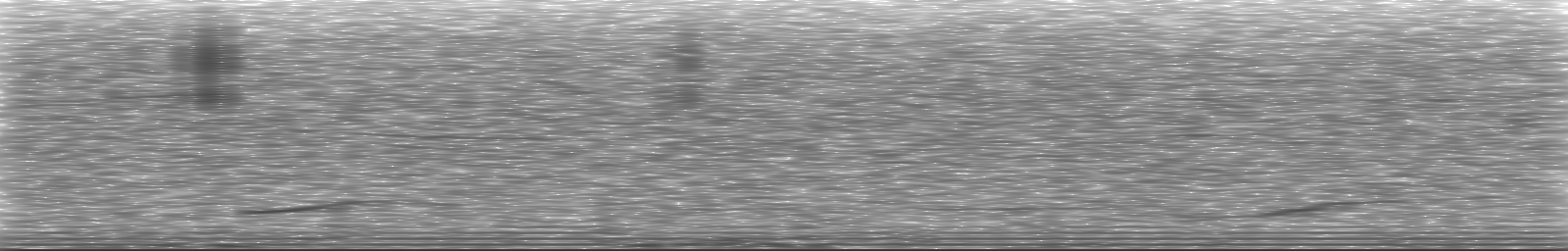 [Loading Spectrogram]