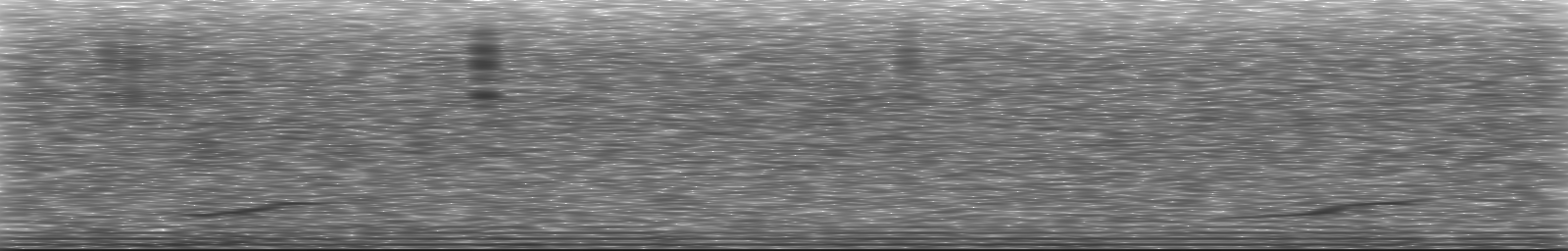 [Loading Spectrogram]