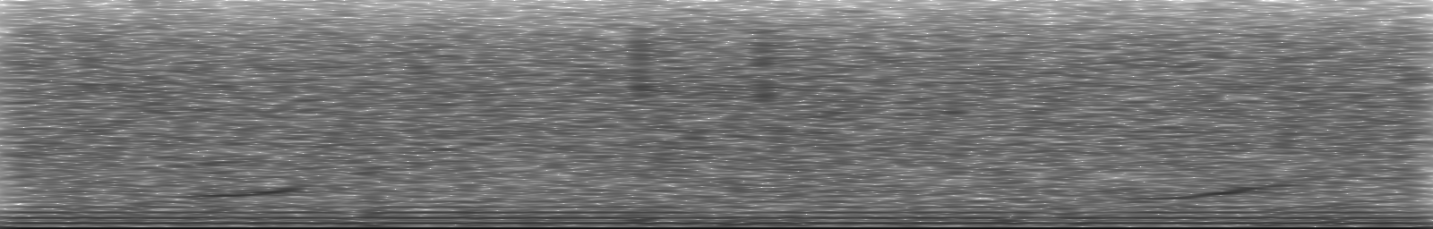 [Loading Spectrogram]