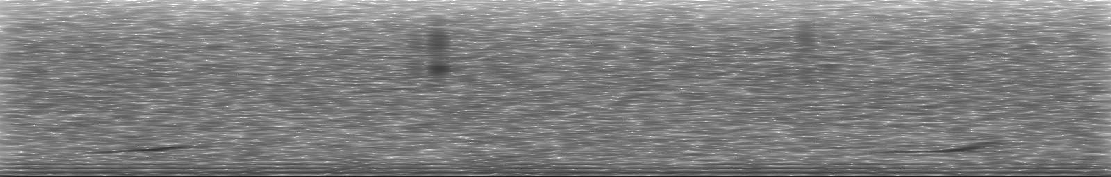 [Loading Spectrogram]