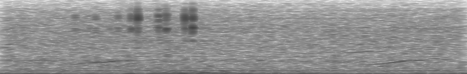 [Loading Spectrogram]