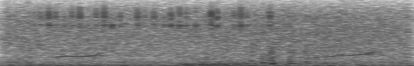 [Loading Spectrogram]