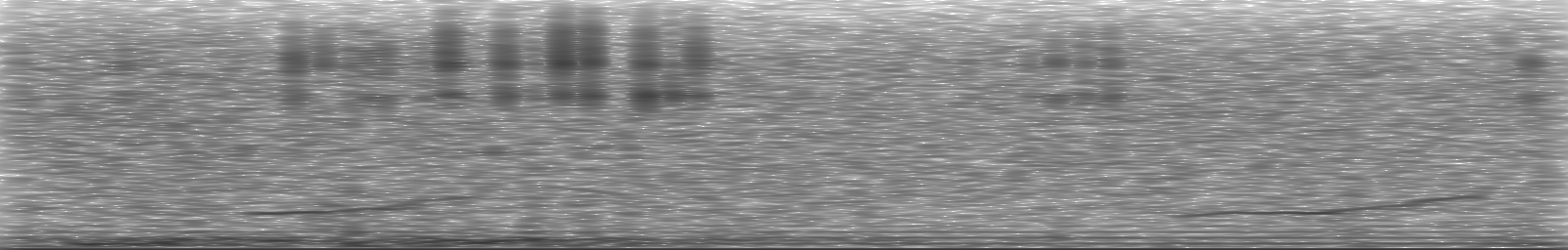 [Loading Spectrogram]