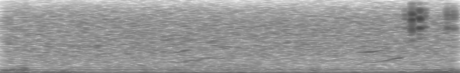 [Loading Spectrogram]
