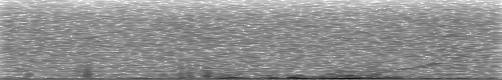 [Loading Spectrogram]