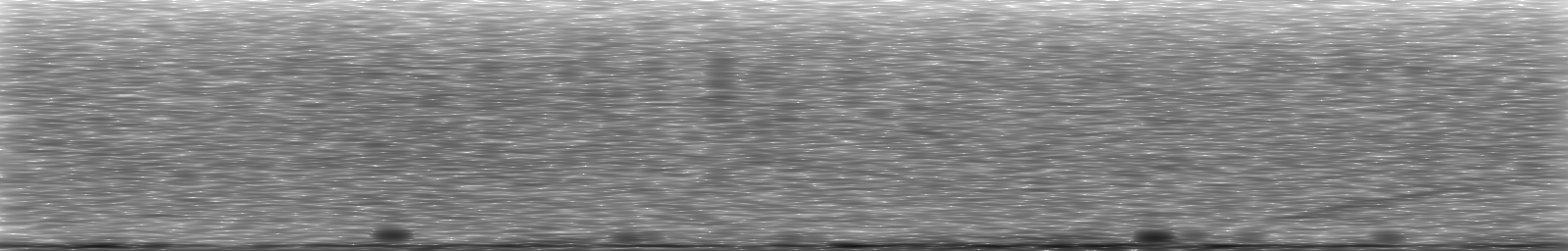 [Loading Spectrogram]
