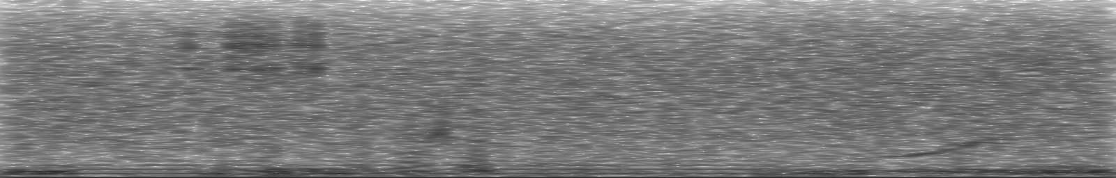 [Loading Spectrogram]