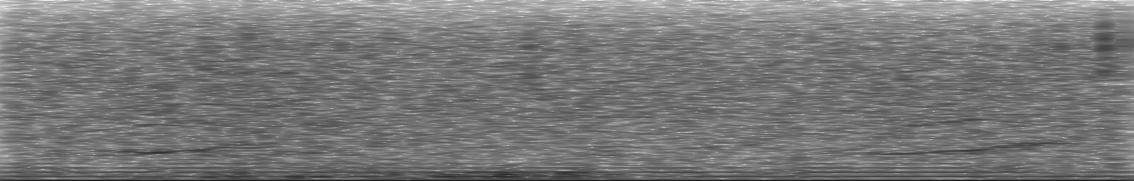 [Loading Spectrogram]