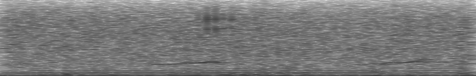 [Loading Spectrogram]