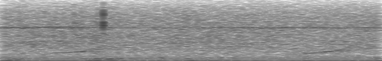 [Loading Spectrogram]