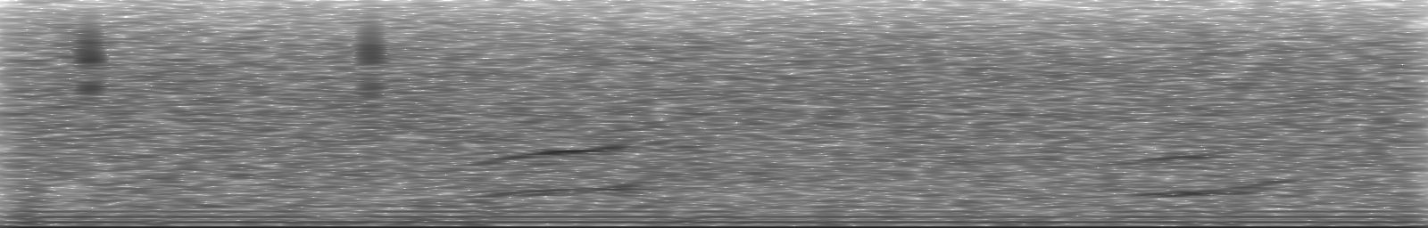 [Loading Spectrogram]
