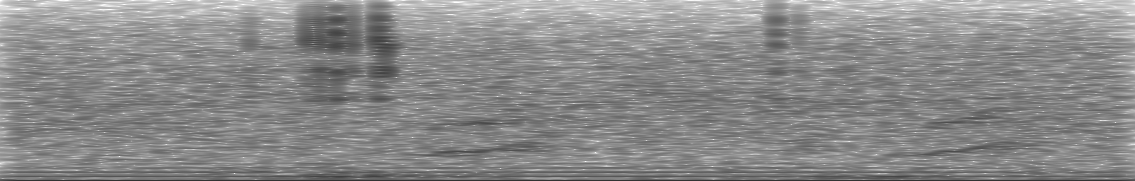 [Loading Spectrogram]