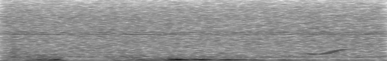 [Loading Spectrogram]