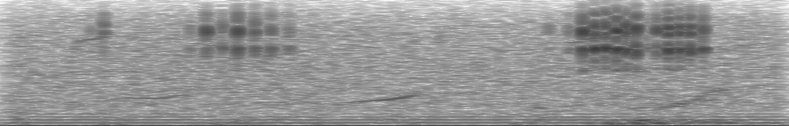 [Loading Spectrogram]