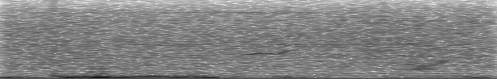 [Loading Spectrogram]