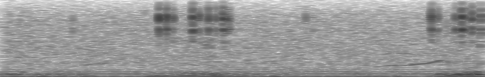 [Loading Spectrogram]