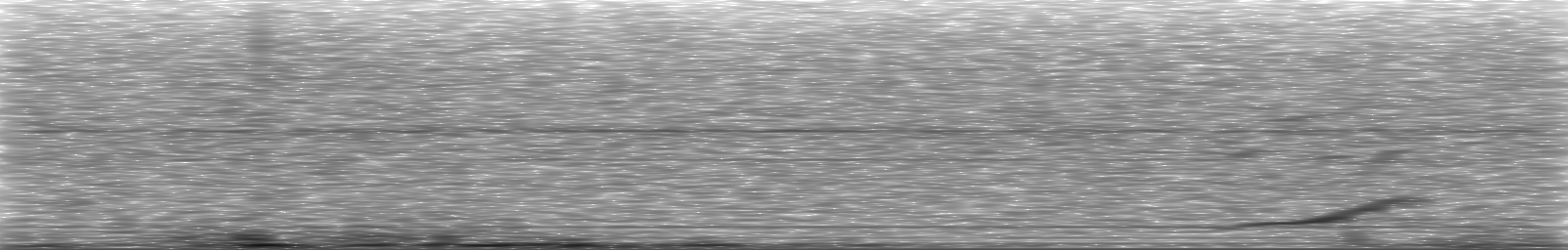 [Loading Spectrogram]