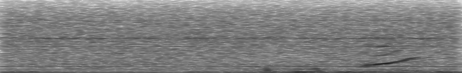 [Loading Spectrogram]
