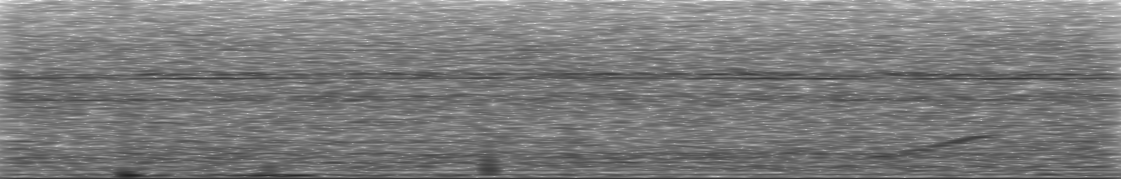 [Loading Spectrogram]
