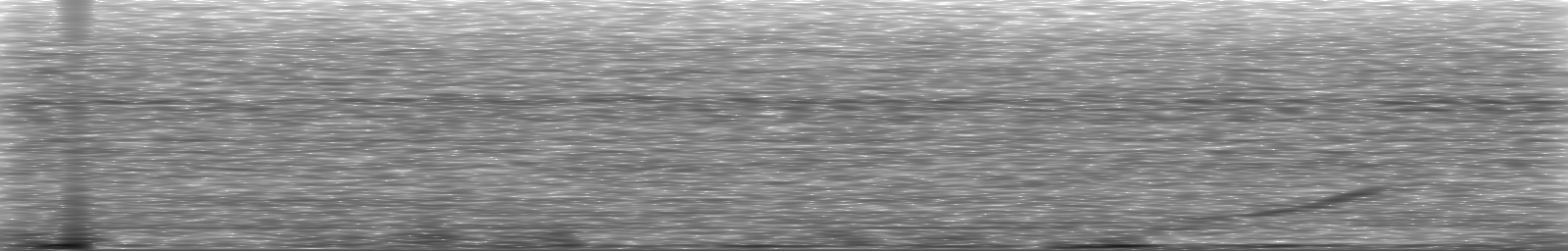 [Loading Spectrogram]