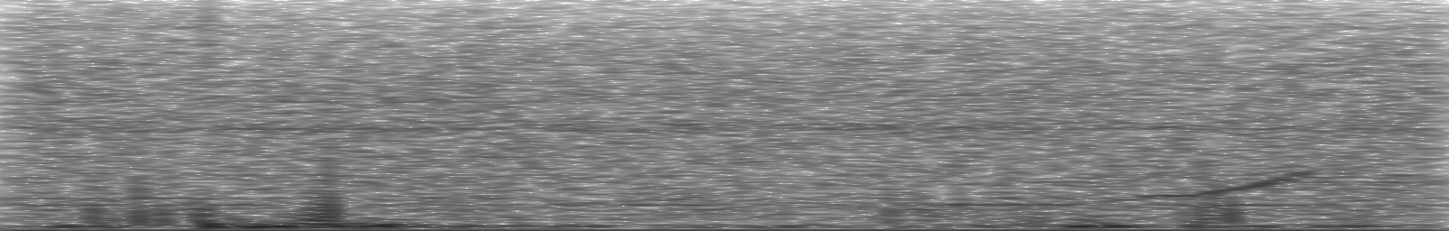[Loading Spectrogram]