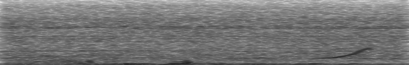 [Loading Spectrogram]