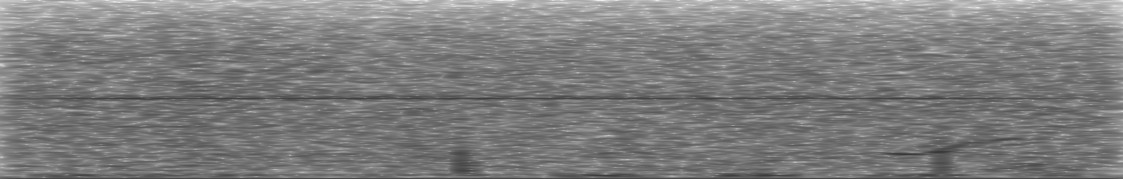 [Loading Spectrogram]