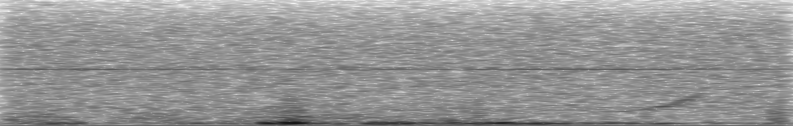 [Loading Spectrogram]