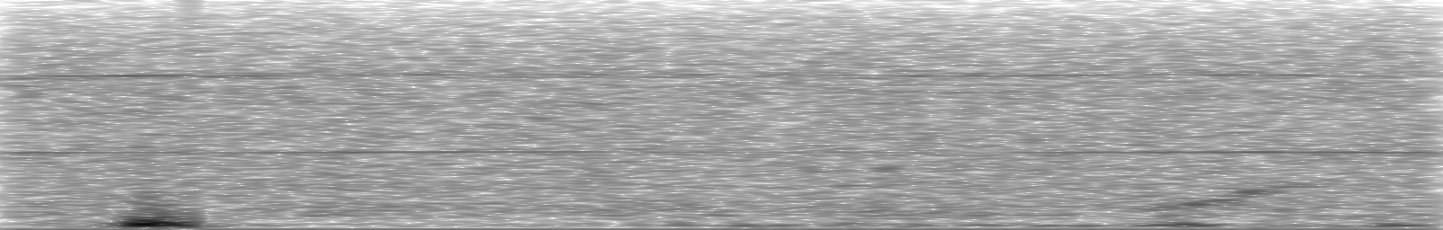 [Loading Spectrogram]