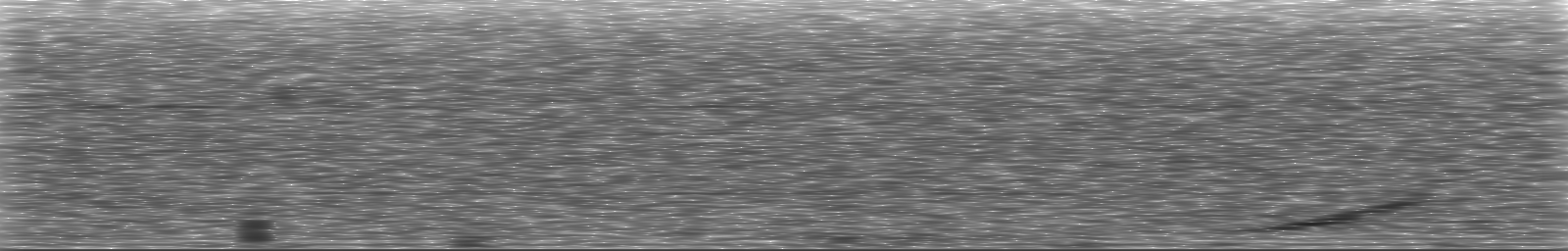 [Loading Spectrogram]