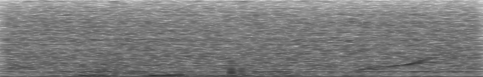 [Loading Spectrogram]