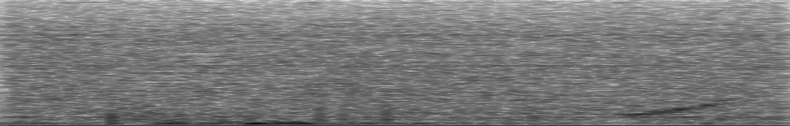 [Loading Spectrogram]