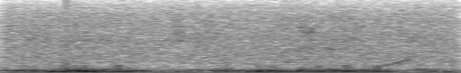 [Loading Spectrogram]