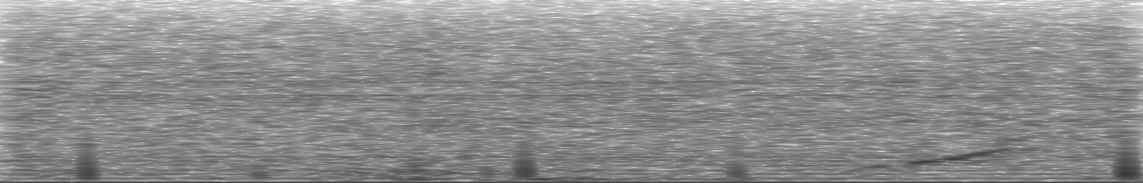 [Loading Spectrogram]