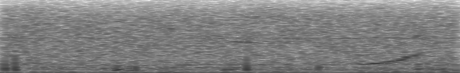 [Loading Spectrogram]
