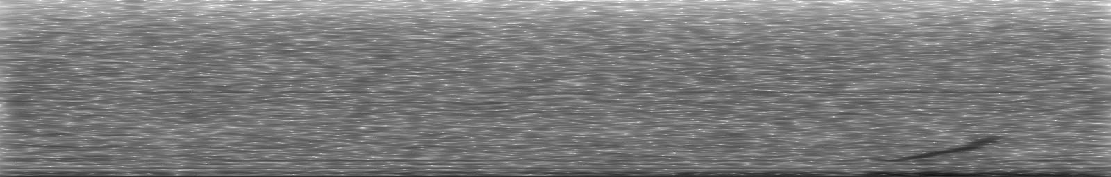 [Loading Spectrogram]