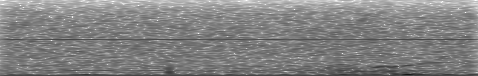 [Loading Spectrogram]